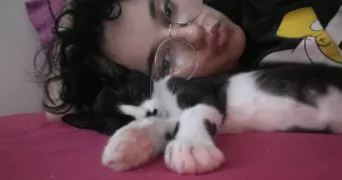 nihad pet sitter à MONTREUIL 93100