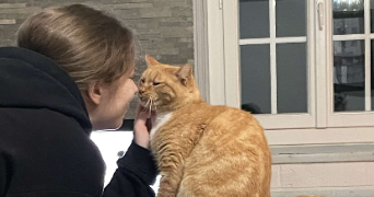 léna pet sitter à ABBEVILLE ST LUCIEN 60480_1