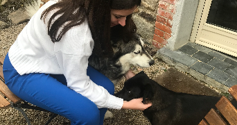 nina pet sitter à VILLE D AVRAY 92410_3