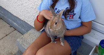 fanny pet sitter à ODOS 65310_2