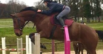 emma pet sitter à AIX EN PROVENCE 13100_5