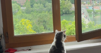 klea pet sitter à CALUIRE ET CUIRE 69300_3