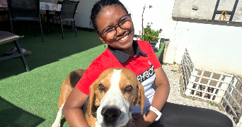 ndrazana simone dog sitter à SORBEY 55230_5