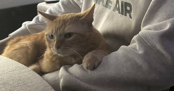 tessa pet sitter à VILLEURBANNE 69100_8