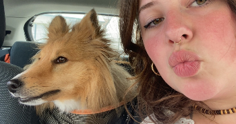 klervi pet sitter à CINQ MARS LA PILE 37130_1