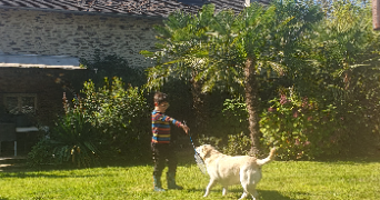 colline pet sitter à GLANDON 87500_3