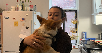 ines pet sitter à PARIS 17 75017_1