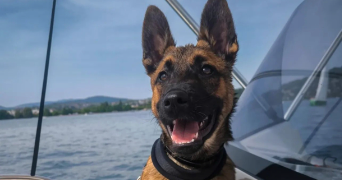 mélanie pet sitter à L HAY LES ROSES 94240_5