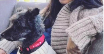 Yasmine  dog sitter à TOULOUSE 31200_3