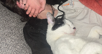 jay pet sitter à DRANCY 93700_2