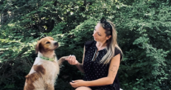 oriane pet sitter à ST GELY DU FESC 34980_0