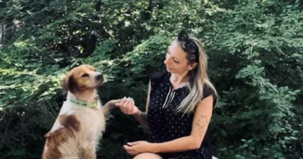oriane pet sitter à ST GELY DU FESC 34980