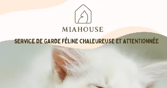 stephanie pet sitter à MARSEILLE 13 13013