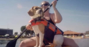 delphine pet sitter à HENDAYE 64700_2