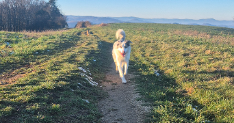 jessica pet sitter à CHAMPIS 07440_4