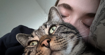 apolline pet sitter à POTIGNY 14420_7