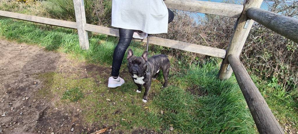adeline  pet sitter à Tours 37000_1