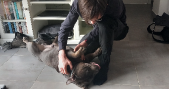 benoit pet sitter à BURES SUR YVETTE 91440_4