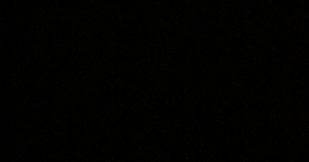 nur pet sitter à LIEUSAINT 77127_0