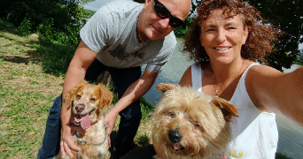 alexa pet sitter à LAGORD 17140_1