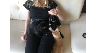 janine pet sitter à ST AMAND LES EAUX 59230_4