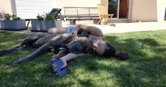 blandine pet sitter à Pau 64000_5