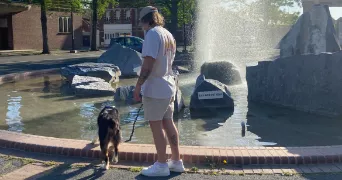 valentin pet sitter à TERGNIER 02700