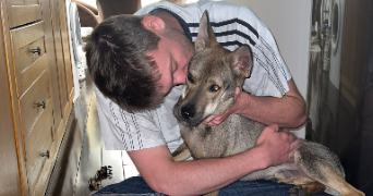 lucas pet sitter à PARIS 13 75013_5
