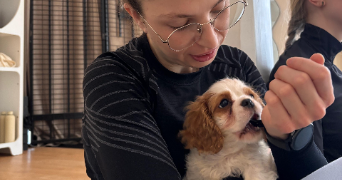 rebecca pet sitter à ACHERES 78260_1