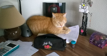 célia pet sitter à Jaunay-Marigny 86130_2