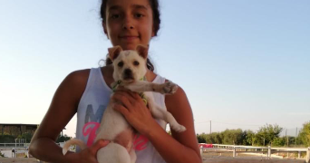 margot pet sitter à LEVALLOIS PERRET 92300_6