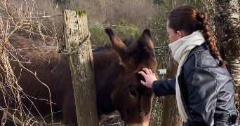 kelly pet sitter à CHATEAUNEUF LA FORET 87130_0