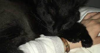 stephanie pet sitter à MARSEILLE 04 13004_2