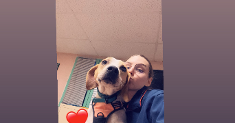 aude pet sitter à LE PERREON 69460_0