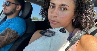 sihem pet sitter à VILLIEU LOYES MOLLON 01800