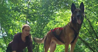 emeline pet sitter à CRESSERONS 14440_3