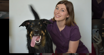 jade pet sitter à WIMEREUX 62930_0