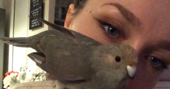 marion pet sitter à TAPONNAT FLEURIGNAC 16110_6