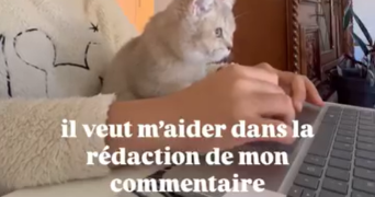 claudia dog sitter à TOULOUSE 31000_2