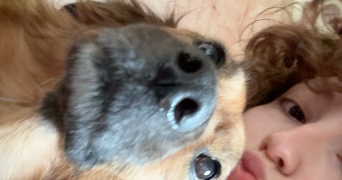 eléa pet sitter à POISSY 78300_1