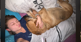 tao pet sitter à TOULOUSE 31000_7