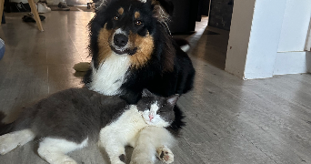chloé pet sitter à VEZERONCE CURTIN 38510_7