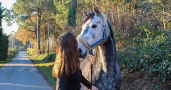 jade pet sitter à PLUVIGNER 56330