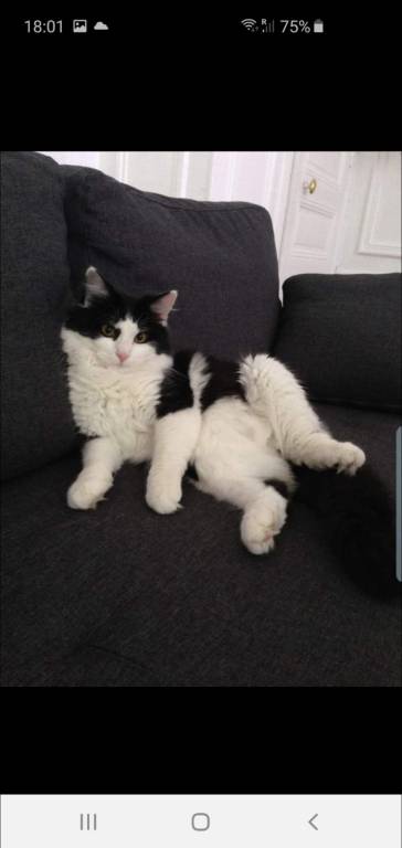 Jessica pet sitter à Algrange 57440_2