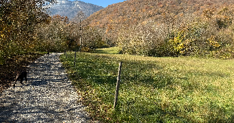 diane pet sitter à ST ISMIER 38330_3