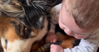 tiffany pet sitter à THORIGNY SUR OREUSE 89260_2