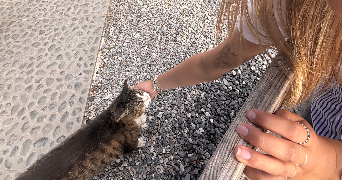 clara pet sitter à GAP 05000_0