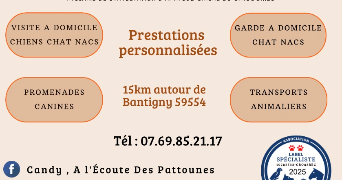 candy pet sitter à ABANCOURT 59268_3