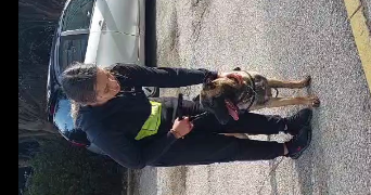 kendra pet sitter à LA SEYNE SUR MER 83500_0