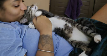 naomie pet sitter à VILLIERS SUR MARNE 94350_9